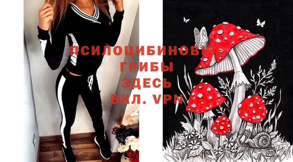 соль курить ск Медвежьегорск