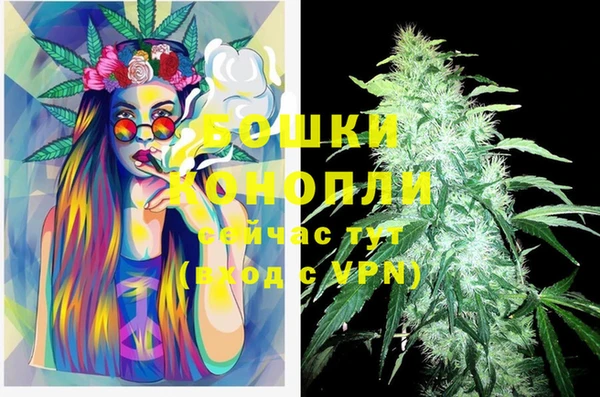MESCALINE Магас